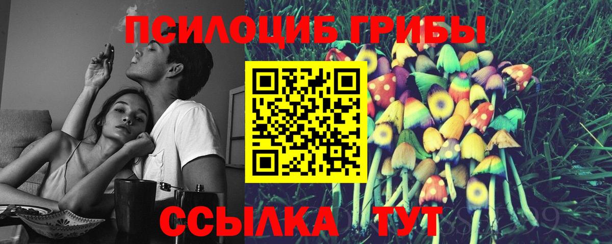 Псилоцибиновые грибы мицелий  Вход с VPN  Галлюциногенные грибы Cubensis  Назрань 